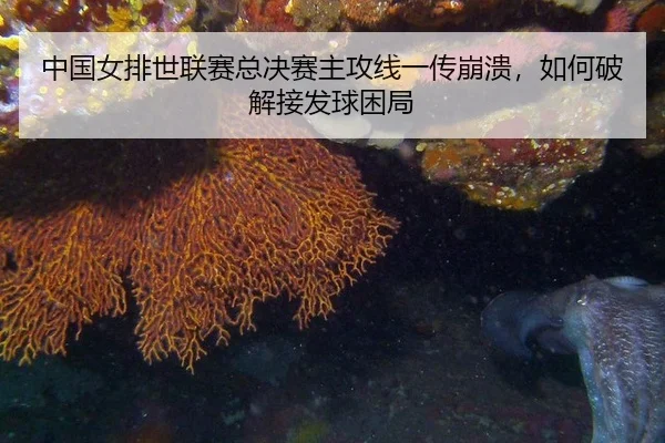 zhong-guo-nv-pai-shi-lian-sai-zong-jue-sai-zhu-gong-xian-yi-chuan-beng-kui-ru-he-po-jie-jie-fa-qiu-kun-ju-2-170.jpg