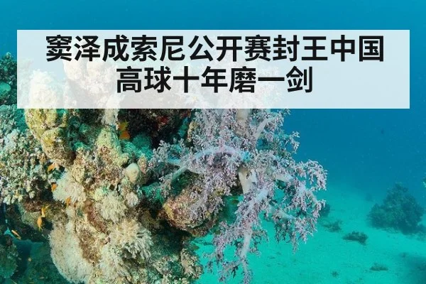 窦泽成索尼公开赛封王中国高球十年磨一剑
