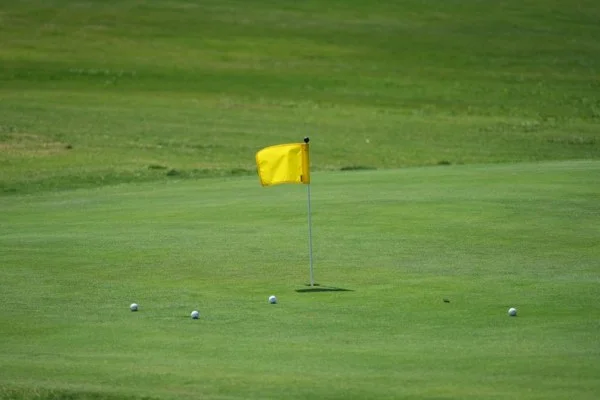 PGA巡回赛儿童医院公开赛科普卡冲冠与霍夫兰关键对决分析